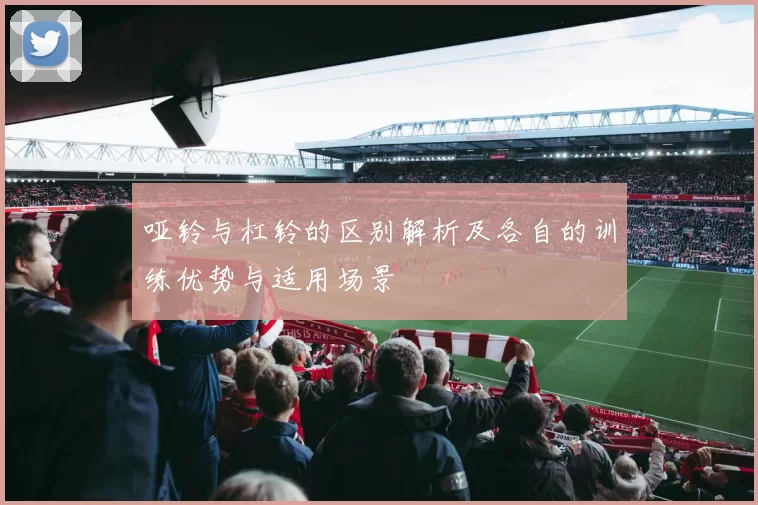 哑铃与杠铃的区别解析及各自的训练优势与适用场景