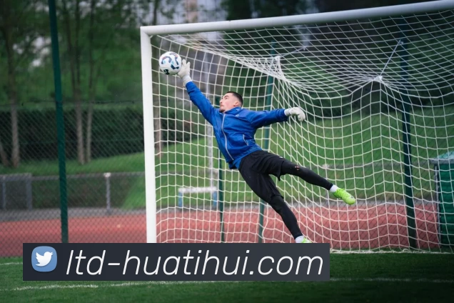 App Interface Preview